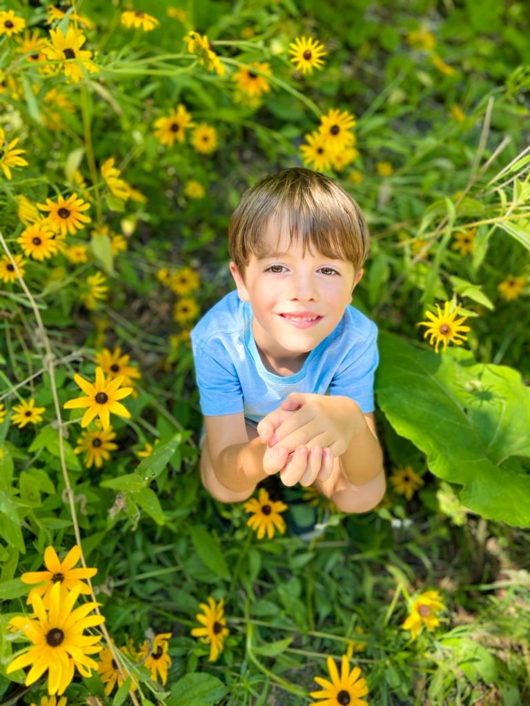 Wheelchair Accessible Mackinac Island Wonders Within Reach