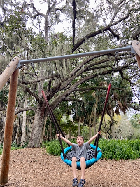 boy in circle web swing