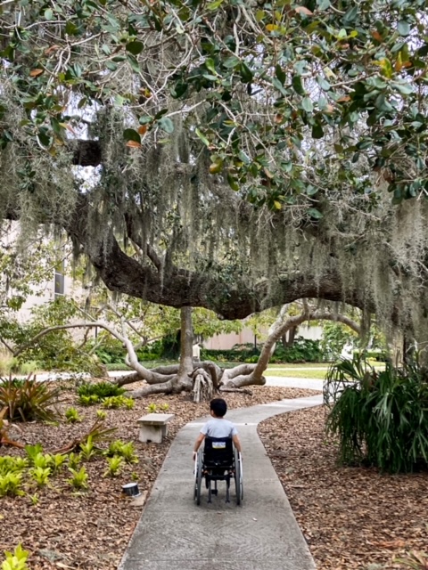 boy in wheelchair under spanish moss