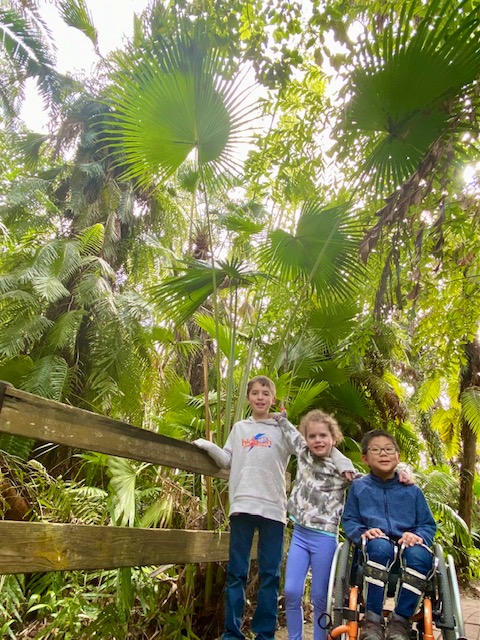 children in jungle setting
