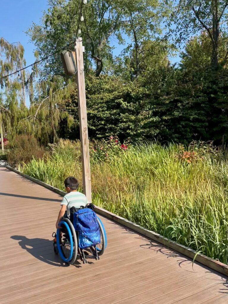 boy in wheelchair on boardwalk path through tall grasses