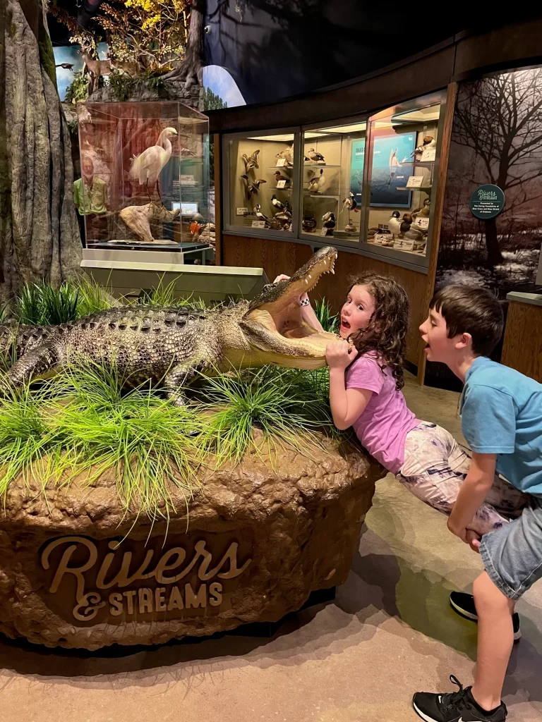 Boy feeds sister to gator