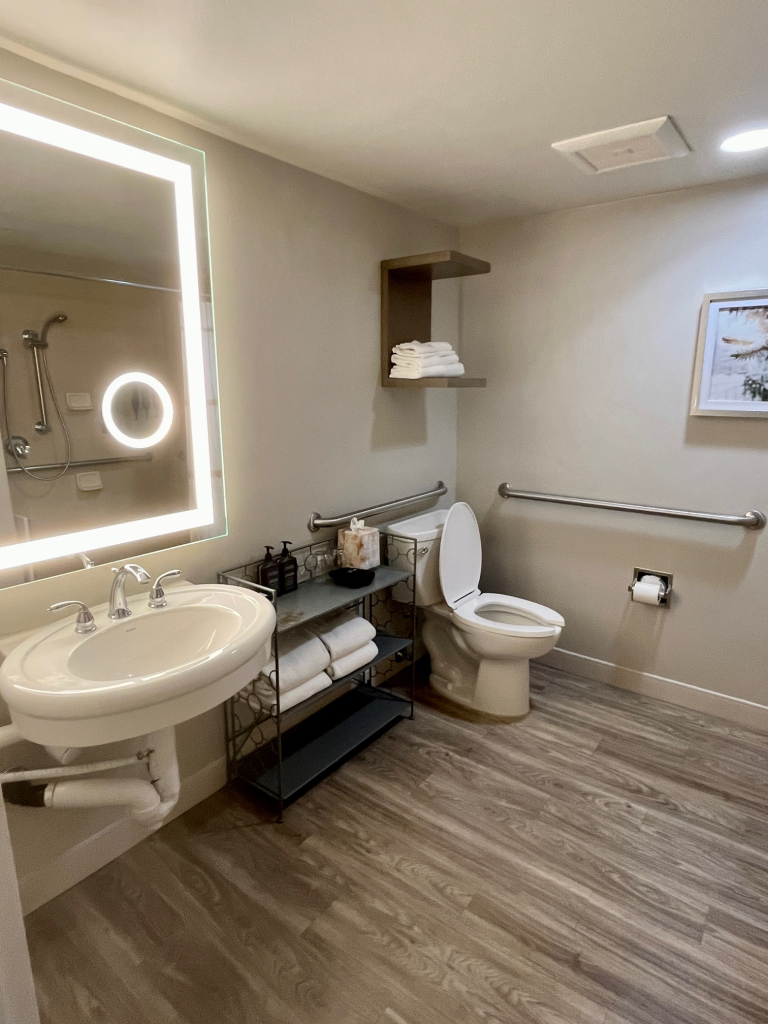 roll under sink, shelf, and toilet in corner with grab bars on both sides