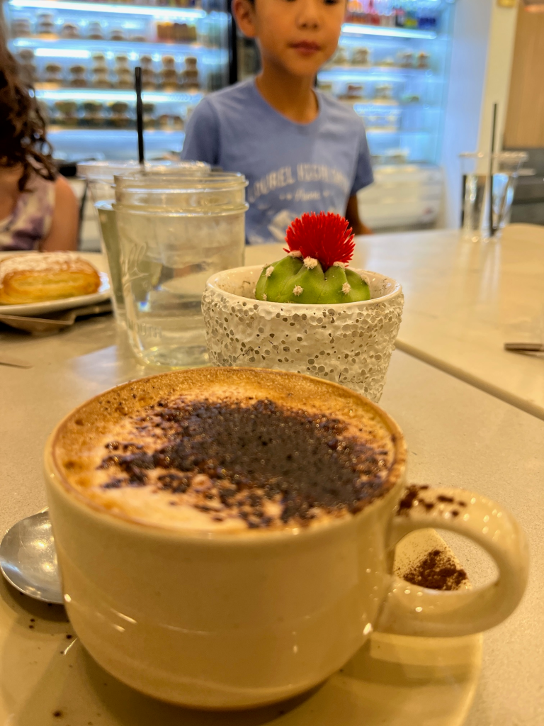 cappuccino with cocoa on top. Cactus in the background on the cafe table
