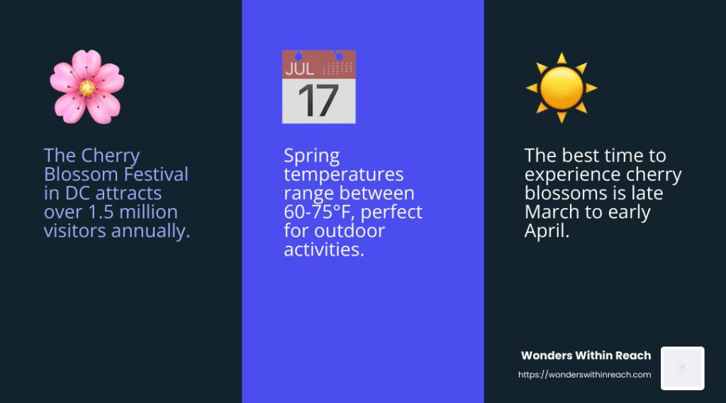 Cherry Blossom Festival: A must-see in spring - wheelchair accessible washington dc infographic 3_facts_emoji_blue