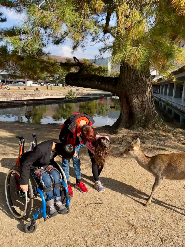 three children, one in a wheelchair, bow to deer